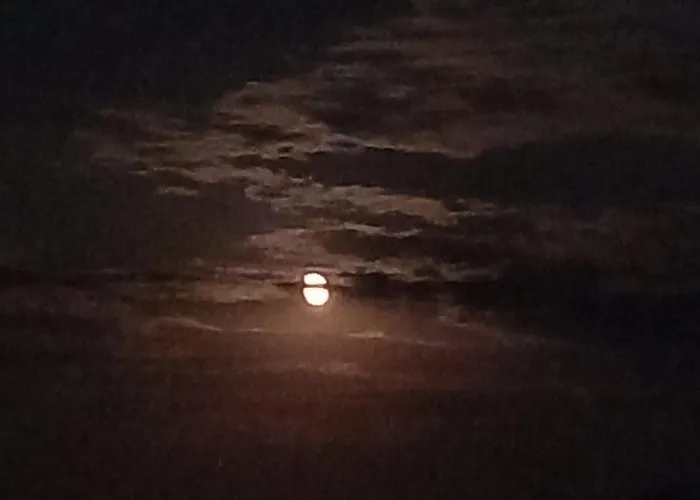 Exostis Semesterbostad *