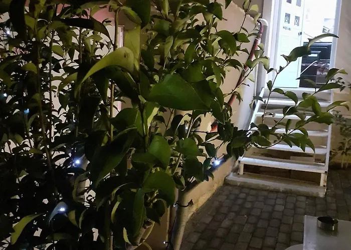 Exostis 纳夫普利翁