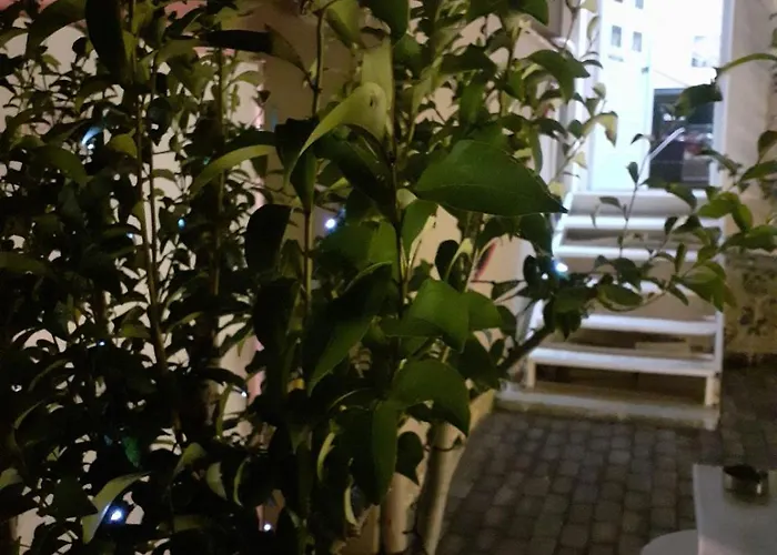 Exostis * 纳夫普利翁